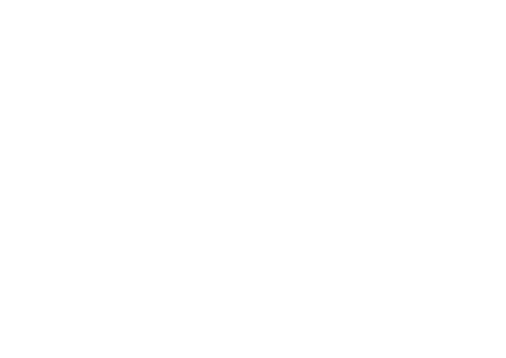 CV vicepresidenta