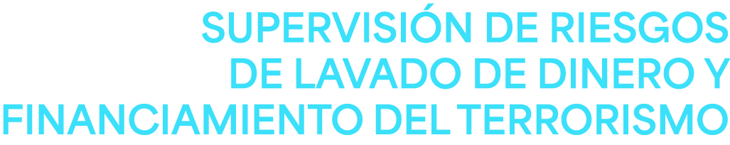 supervisi n de riesgos de lavado de dinero y financiamiento del terrorismo 