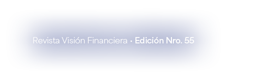 Revista Visi n Financiera • Edici n Nro. 55