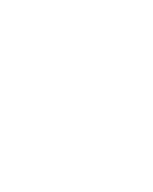 Texto 2