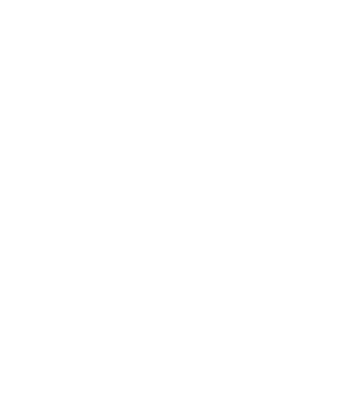 Texto 2