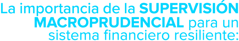 La importancia de la supervisi n Macroprudencial para un sistema financiero resiliente: 